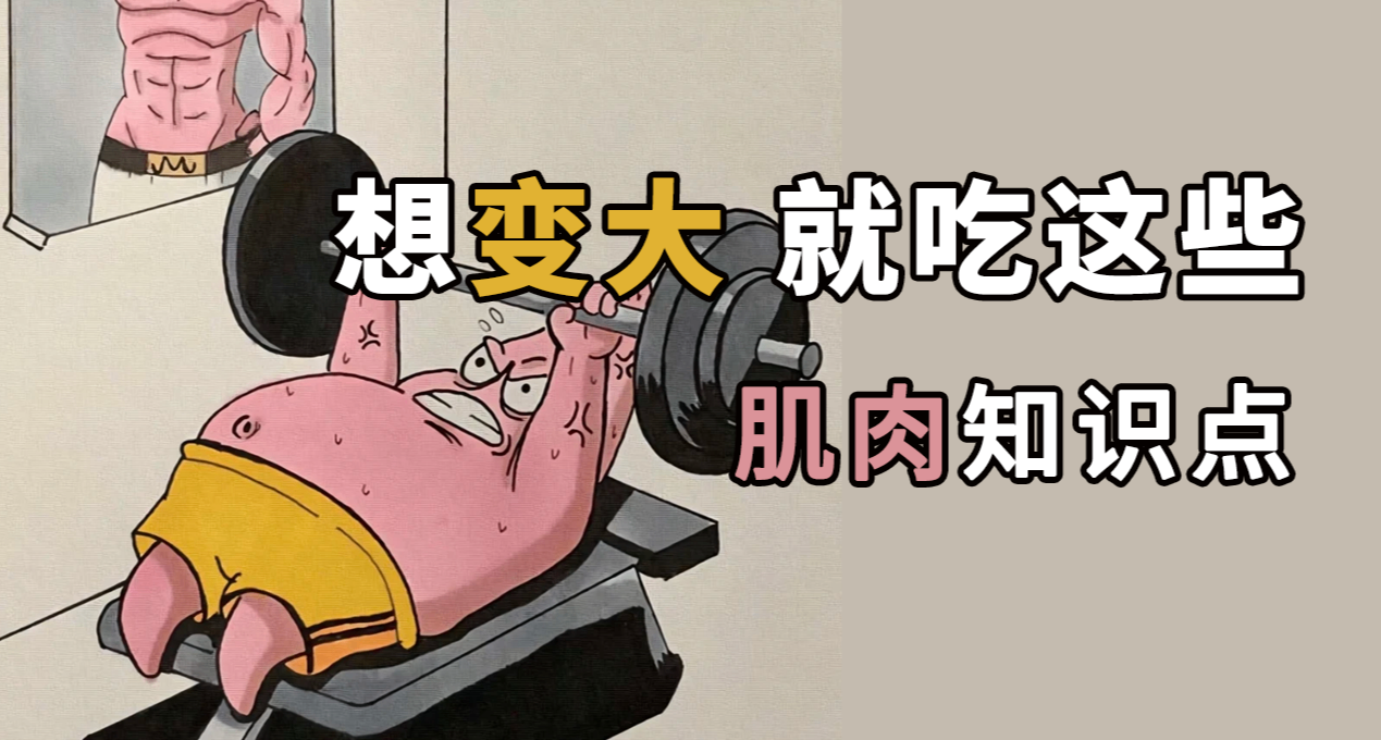 吃什么才能变大，人体小知识，赶紧收藏学习！