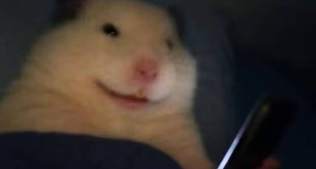 還學嗎？🥵
