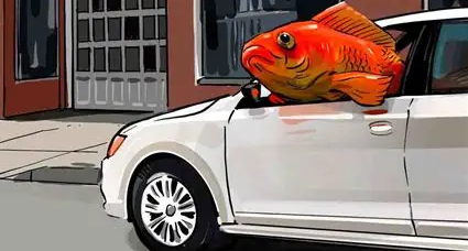 一條金魚開着車在客廳地板飛馳！只是爲了喫上一口魚食？