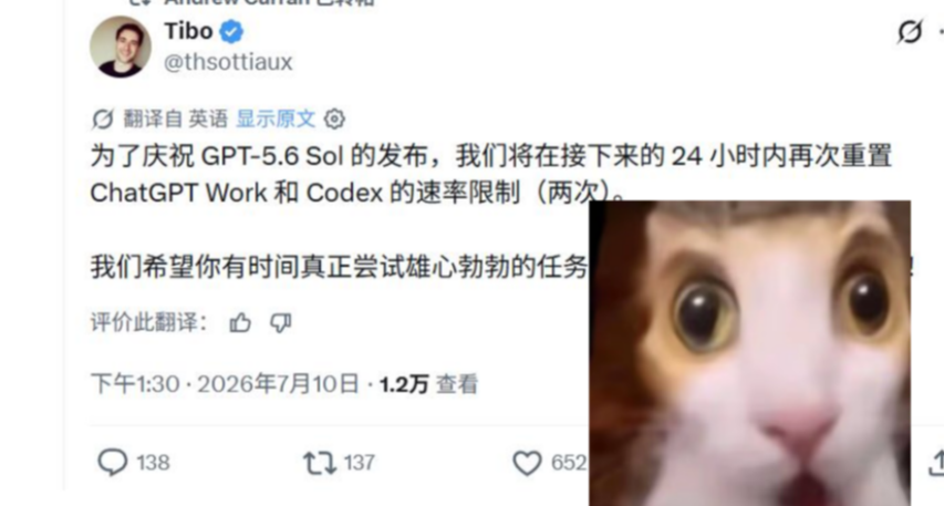 Tibo: 爲了慶祝🎉GPT-5.6的發佈，我們將在24小時裏再次重置！！