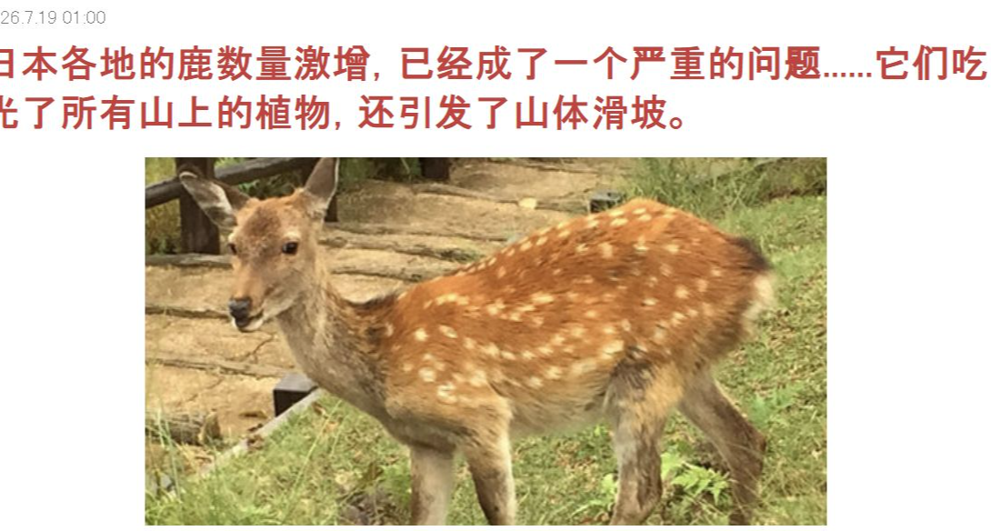 日本鹿群20年翻倍，植被被啃光，进而引发山体滑坡！