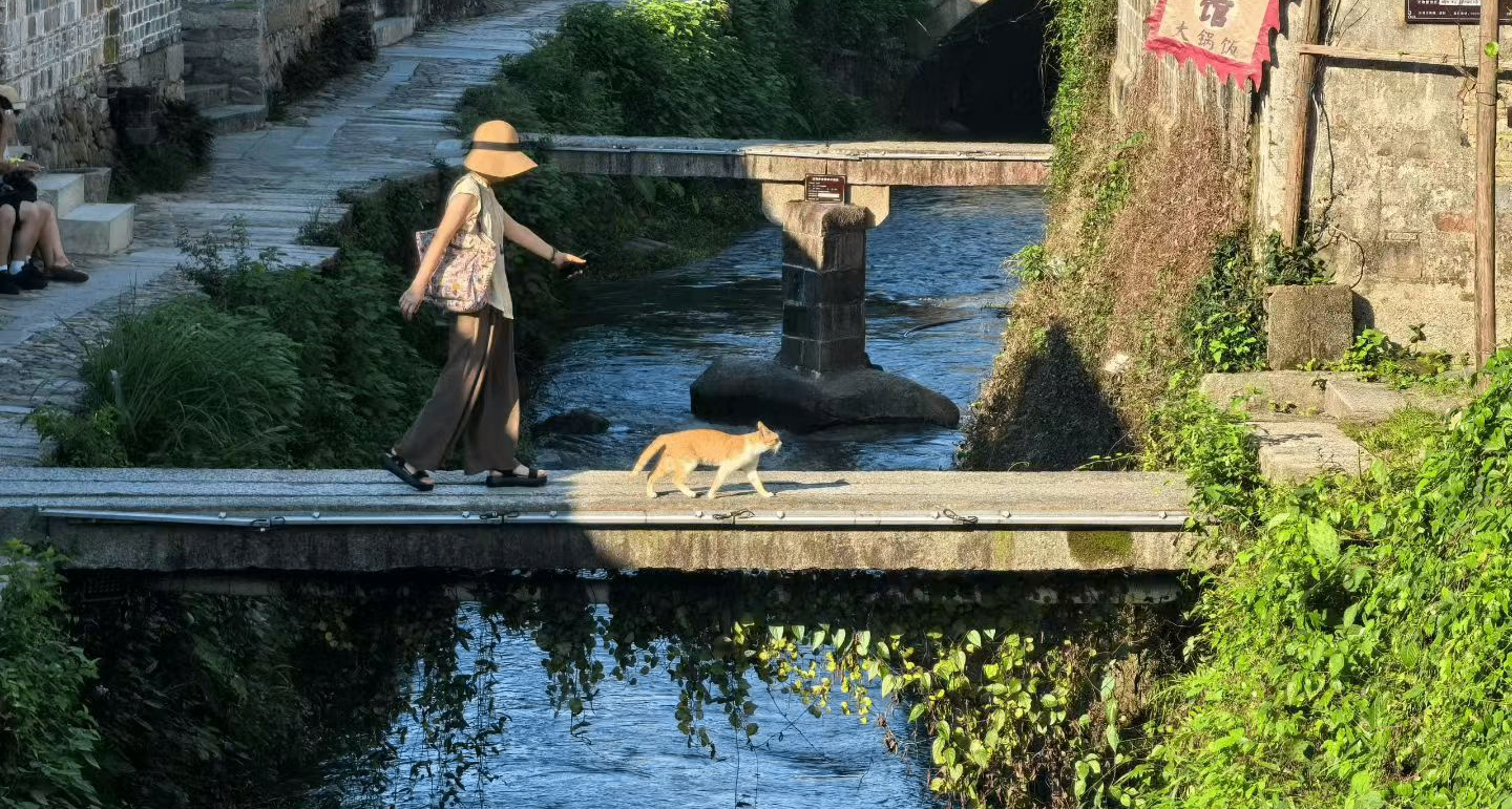查濟，一個能讓人靜下來的地方
