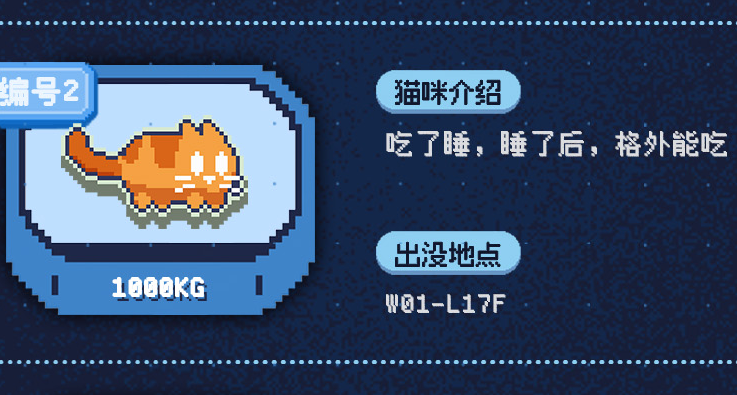 第一期！《黃油貓》夏日貓咪領養大會🐱