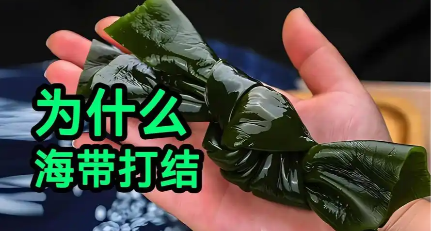 海带为什么非要打个结？