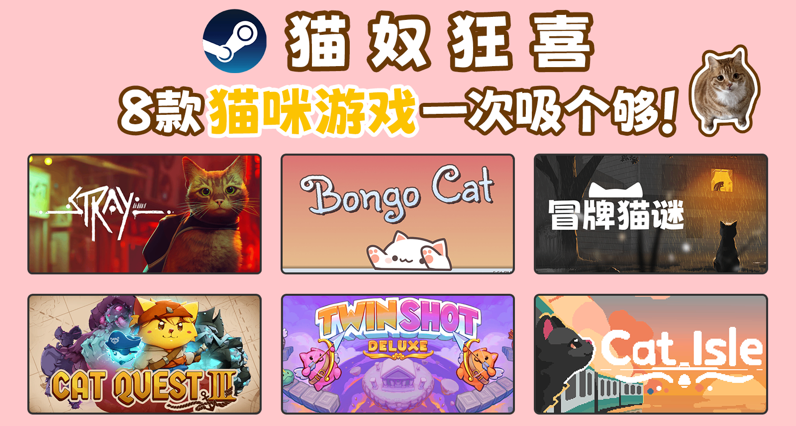 貓門集合！8款貓咪遊戲承包你的快樂🐱