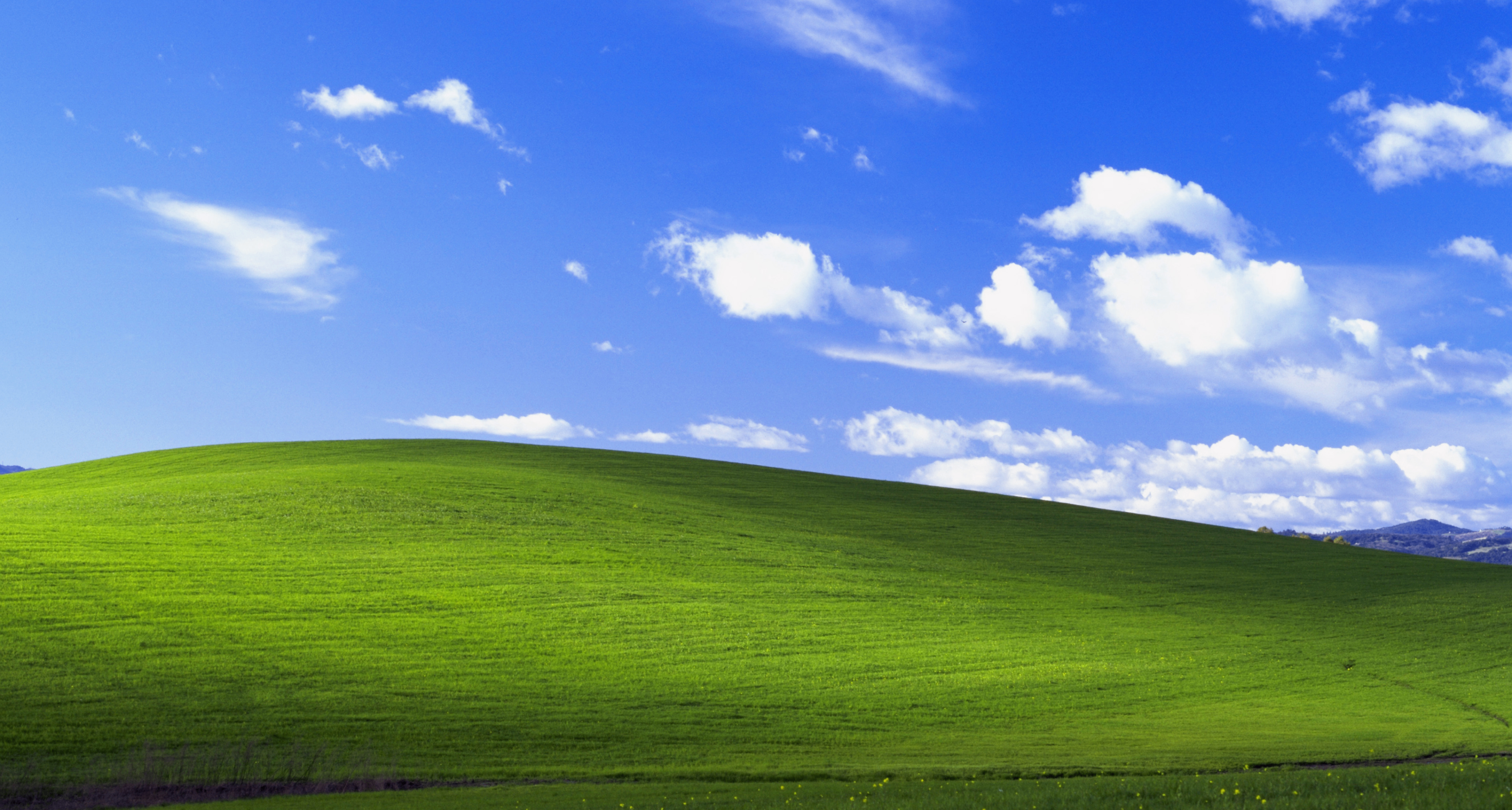 Win11新增動態文件大小顯示、應用低延遲配置文件等功能
