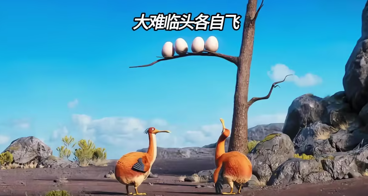 冷知识：渡渡鸟不蠢
