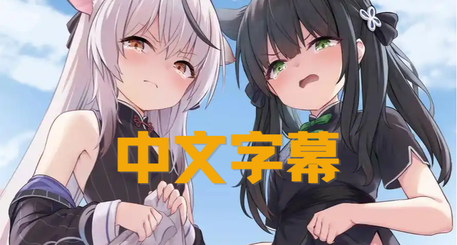 只有中国人看片需要看字幕吗？