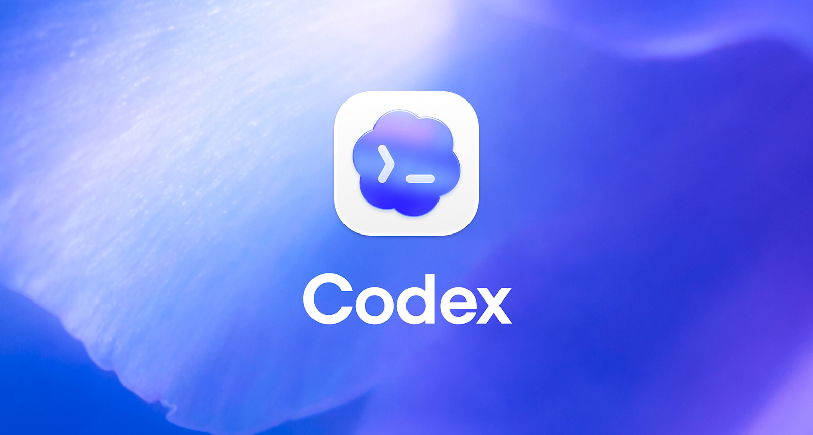 一份关于Codex如何更好使用的指南