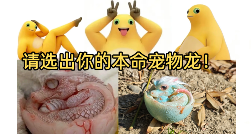 如果你的寵物突然變成了一條龍，你敢養嗎？