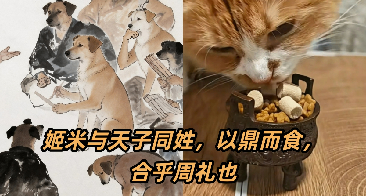 我曾听闻...姬米用鼎是否真的合乎周礼？【大周礼时代】