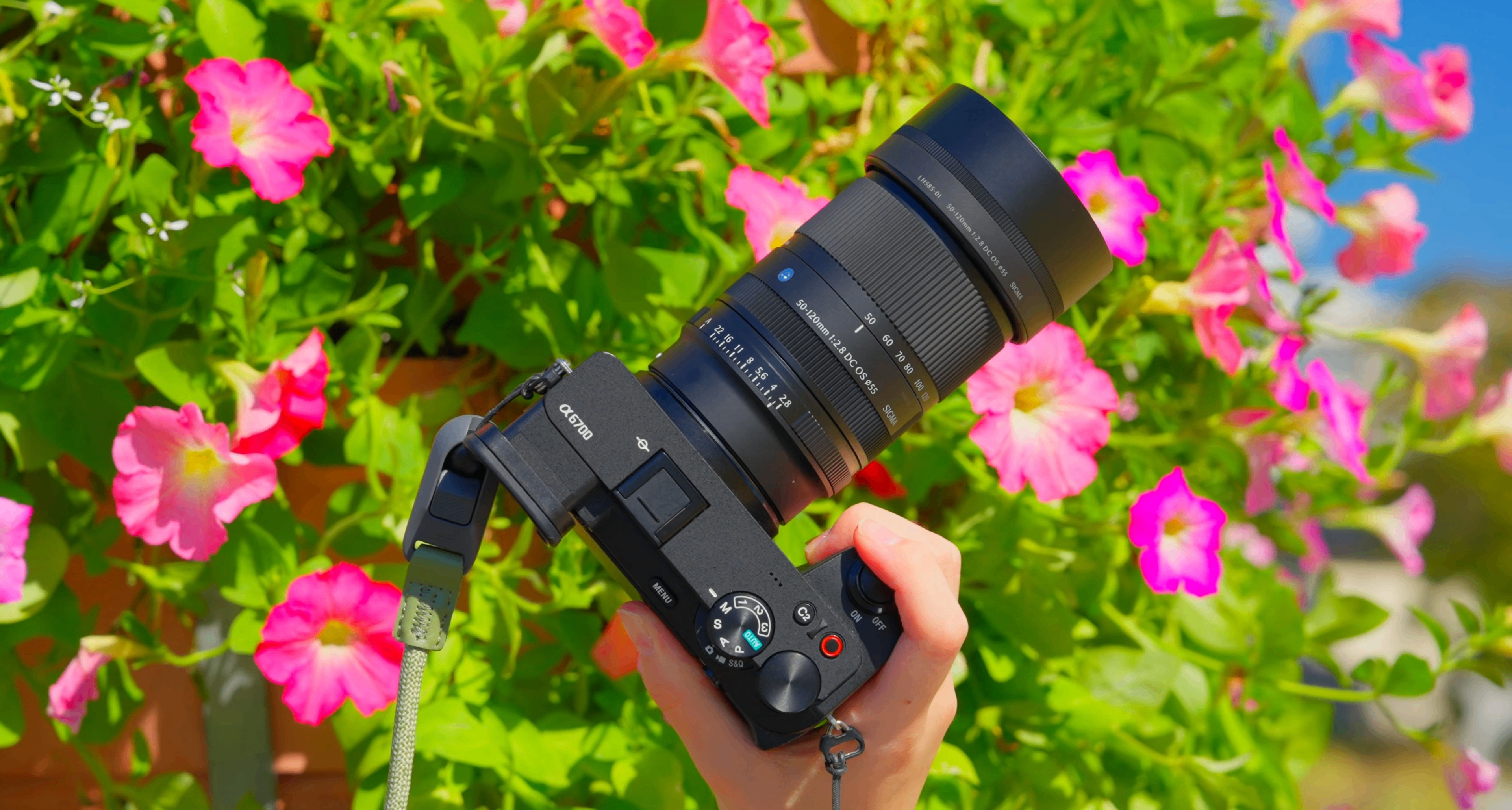 半畫幅最佳長焦大三元 能媲美手機攝影嗎？適馬50-120mm F2.8實測