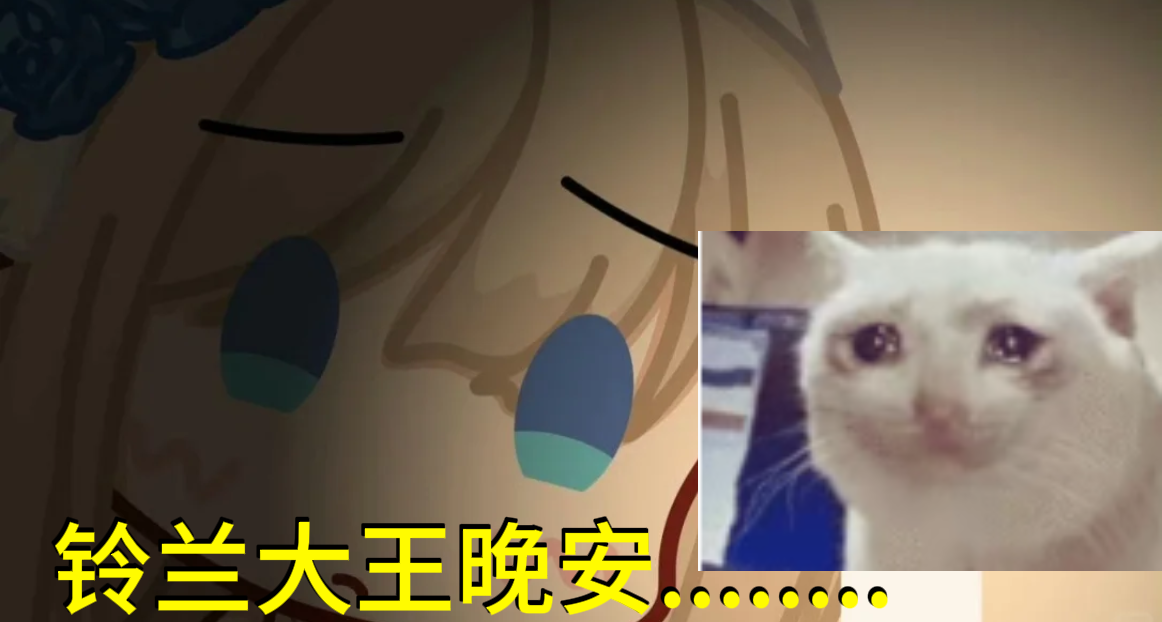 铃兰大王晚安......《战舰少女 R》主创毛佳栋离世，年仅40岁